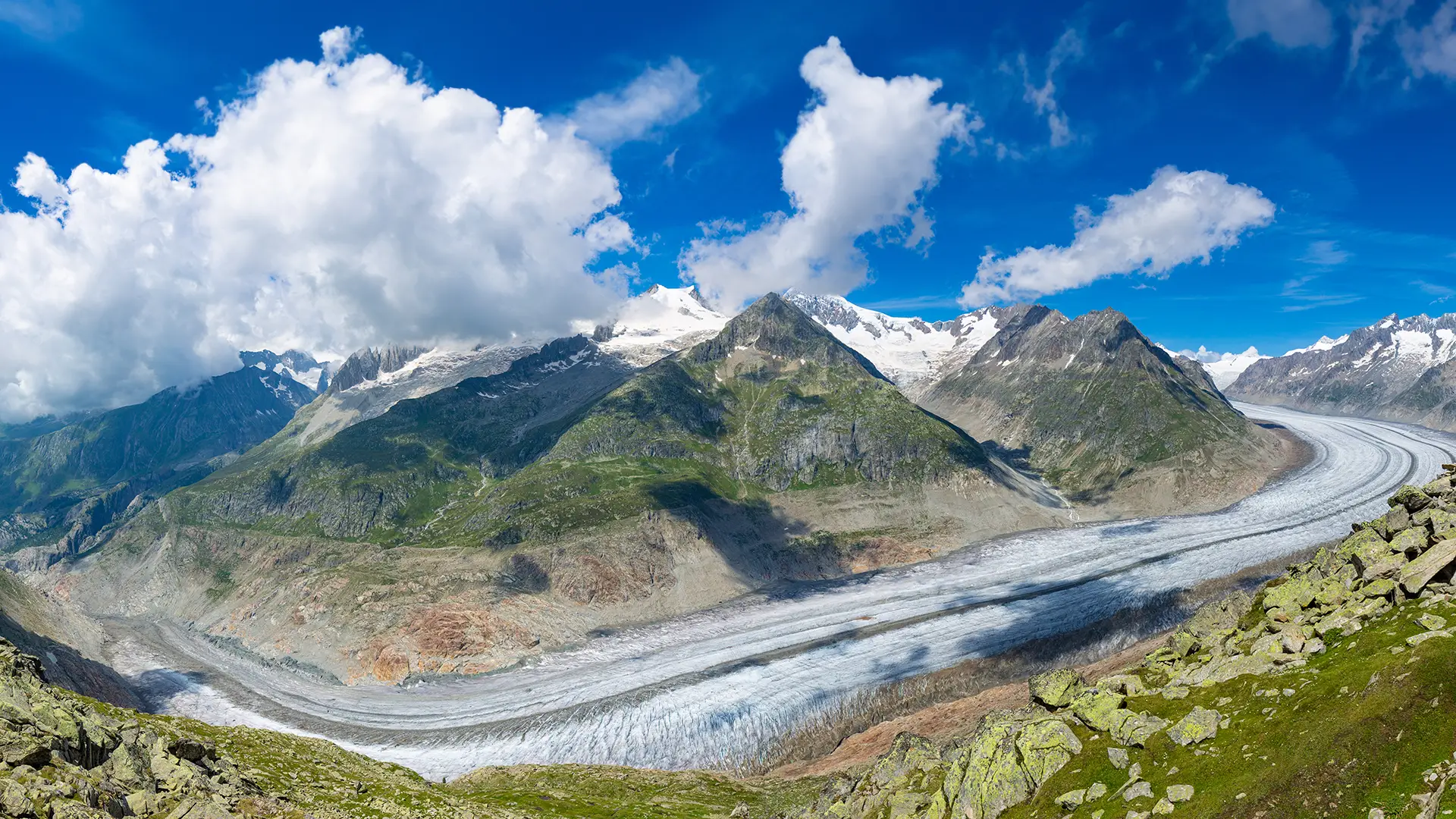 Aletschgletscher Foto: Ivo - stock.adobe.com