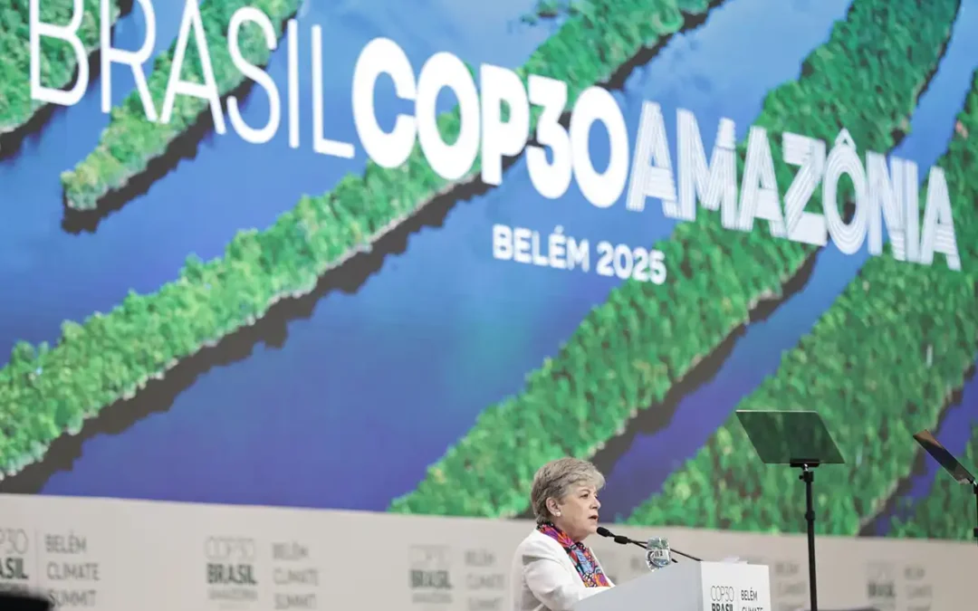 COP30 in Belém: Die Welt blickt auf den Amazonas