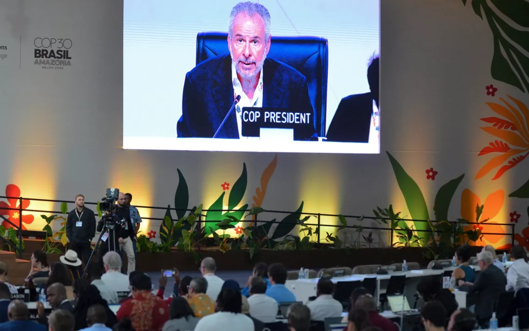 COP30 in Belém: Was die Weltklimakonferenz wirklich beschlossen hat
