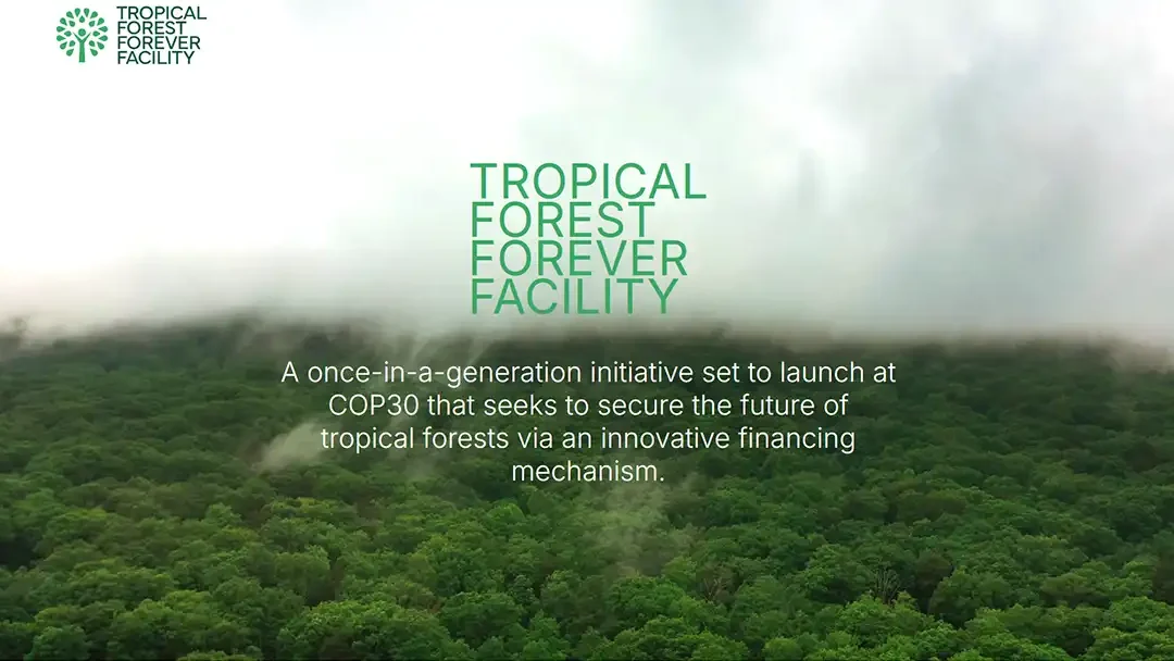 Tropical Forest Forever Facility (TFFF): Ein neuer Milliardenfonds für den Schutz der Tropenwälder