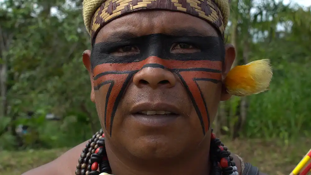 Indigene Völker im Amazonas: Die wahren Hüter des Regenwaldes