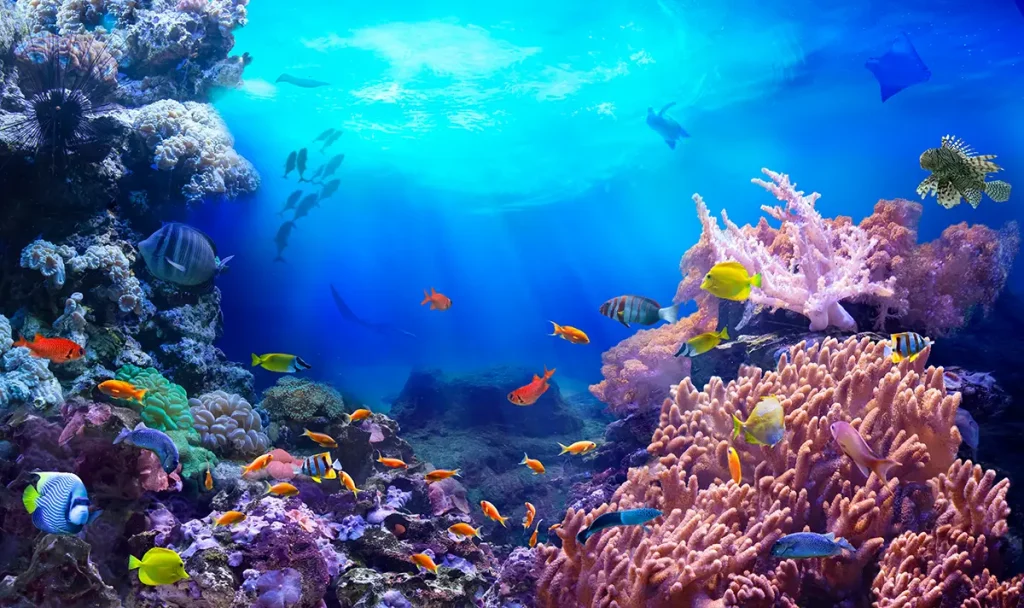 Das Leben im Korallenriff. Die leuchtenden Farben der tropischen Fische. Tiere der Unterwasserwelt. Das Ökosystem.  silvae - stock.adobe.com
