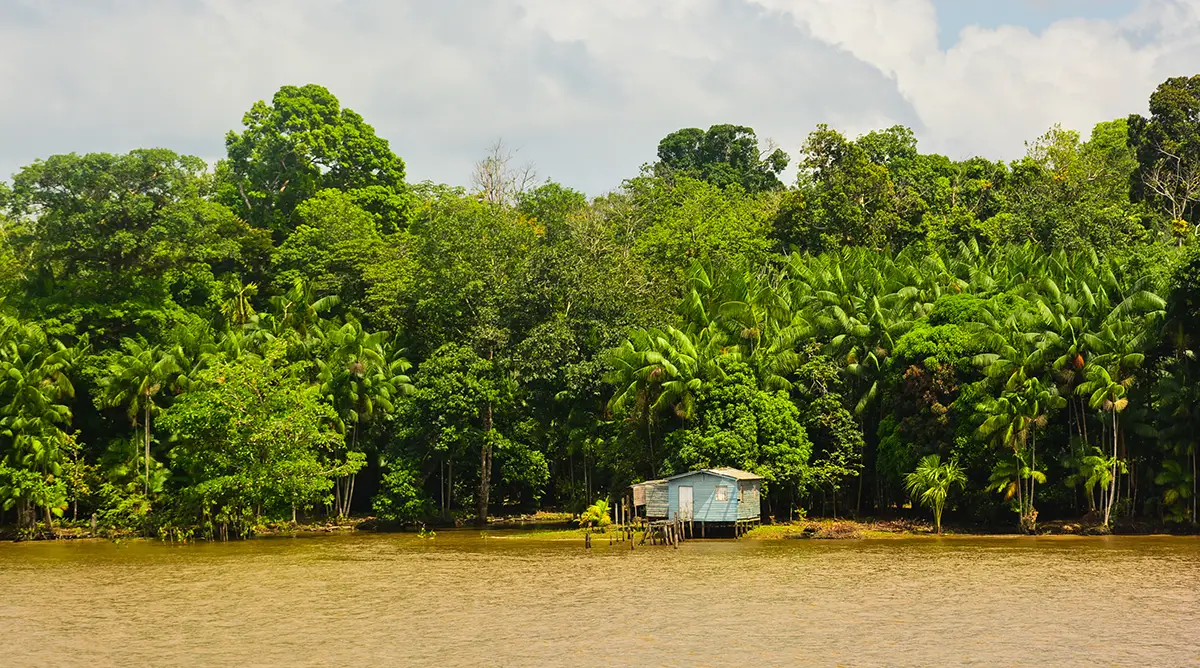 Amazonas mit indigenem Haus. Foto: anabanana1988 - stock.adobe.com