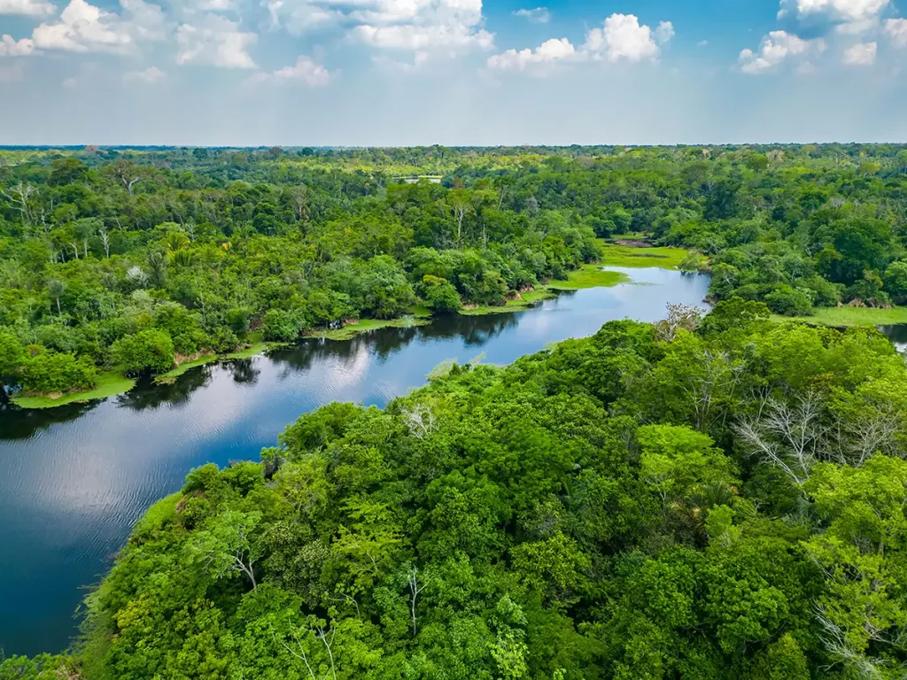 Malerischer Blick aus der Vogelperspektive auf einen Fluss im Regenwald bei Sonnenuntergang im brasilianischen Amazonasgebiet
PhotoSpirit - stock.adobe.com